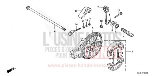 REAR BRAKE PANEL CRF100F6 de 2006